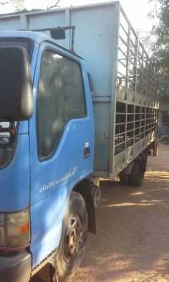 หกล้อ ISUZU NPR130โบว์ รถห้างปี48 รถบรรทุกหมูค็อกเลส2ชั้นท้ายรีปไฮโรลิกค์ สภาพดีพร้อมใช้งาน ทะเบึยนพร้อมโอน