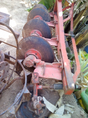 ขอบพระคุณ เสี่ยใหญ่ใจดี จาก จ.สกลนคร มัดจำกลางอากาศมาแล้วครับ