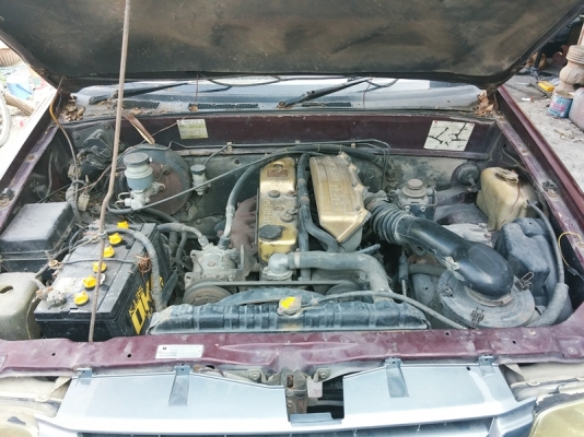 Dargon จำแลง พร้อมใช้งาน