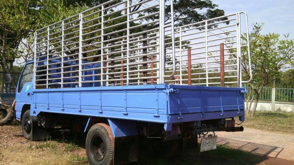 ขาย 120 ปี43 เฟืองF เกียร็อก ขาย 120 ปี43 เฟืองF เกียร็อก