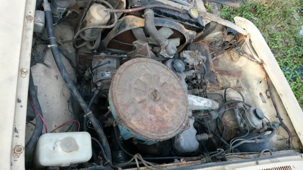 ขายครับ