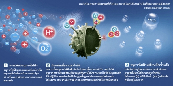ลดต้อนรับปีใหม่ เครื่องฟอกอากาศในรถยนต์ ลดต้อนรับปีใหม่ เครื่องฟอกอากาศในรถยนต์