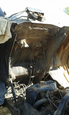 หกล้อ HiNo FC120ดั้ม รถห้าง สภาพดียังวิ่งงานอยู่ ทะเบียนพร้อม