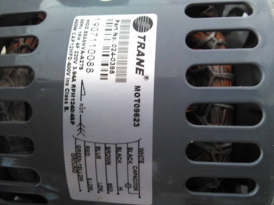 พัดลมกรงกระรอกตัวใหญ่ลมแรง ปรับสปีดได้ 3 สปีด