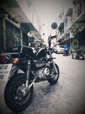ขาย มั้งกี้ ทะเบียนแท้ ไมล์ 20xx กว่าๆ 24000 บาท 093-124-2455