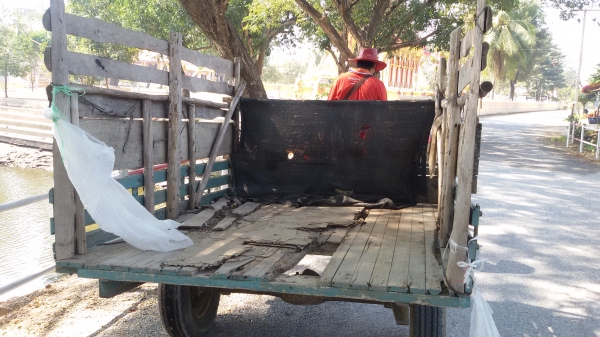 ขายรถนั้งขับรถกระแท้มีกะบะพร้อม