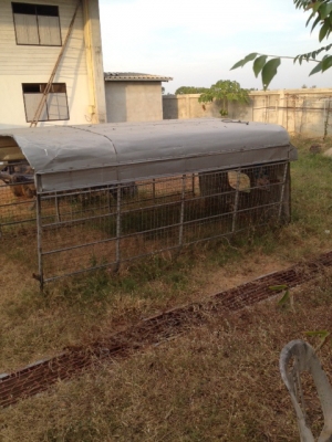 ขายหลังคา ใส่ 4 ล้อเล็ก ขายหลังคา ใส่ 4 ล้อเล็ก