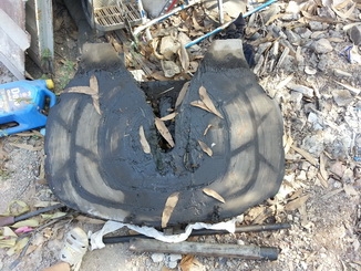 ขายจานหน้าวัว