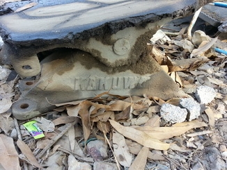 ขายจานหน้าวัว