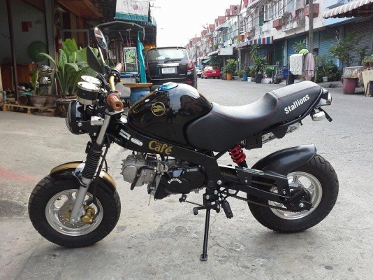 Stallion mini solo cafe สตาร์ทมือ เครื่อง 125 cc วิ่ง 100 กม.ซื้อเงินสดป้ายแดงมาได้เดือนเดียว มีเล่มพร้อม ภาษีพรบ.เต็มทั้งปี คุ้มมากๆ เจ้าของใช้ไม่ถนัดเอามาเทิร์นคันอื่นที่ร้านไป รถสวยมาก พอๆป้ายแดง
