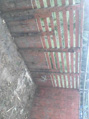 ขายสิบล้อหน้ายาวเพลาเดียวช่วงล่างใหญ่รถสวยมากเลยครับพร้อมใช้พร้อมโอน