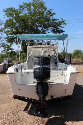 ขายเรือญี่ปุ่น ขนาด 22 ฟุต พร้อมเครื่อง MERCURY 135 แรง