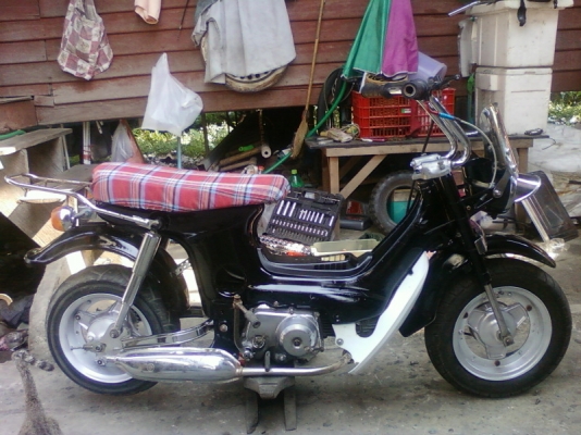 ชาลีราคาถูก