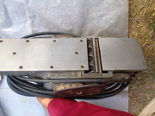 กบ  5  นิ้ว มากีตา