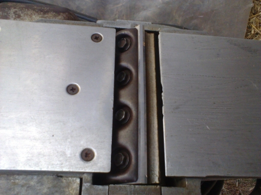 กบ  5  นิ้ว มากีตา