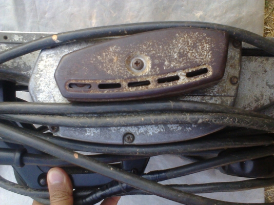 กบ  5  นิ้ว มากีตา