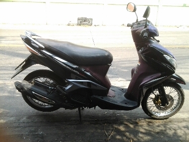 มีโอ125ปี55