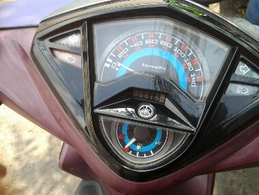 มีโอ125ปี55