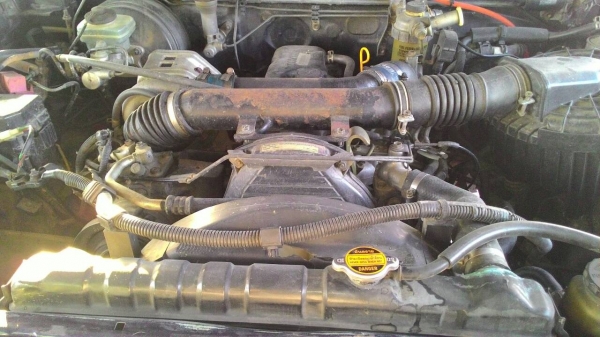 ขายไทเกอร์ ปี2001 3.0 4WD ขายไทเกอร์ ปี2001 3.0 4WD