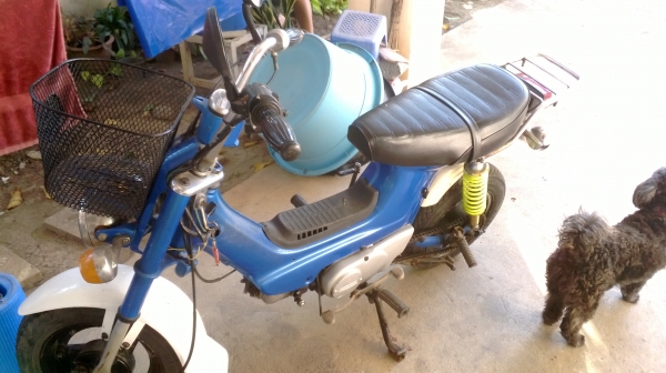 ฮอนด้า ชาลี พร้อมใช้งาน ด่วน !!!!  9,500 ขับขี่ได้เลย