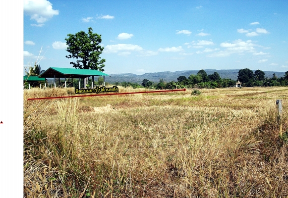 ขายที่ดินติดถนนอุทยานแห่งชาติตาดโตน จ.ชัยภูมิ (๒๐๕๑) เนื้อที่ ๓ ไร่ ๑ งาน ๒๒ ตารางวา