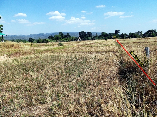 ขายที่ดินติดถนนอุทยานแห่งชาติตาดโตน จ.ชัยภูมิ (๒๐๕๑) เนื้อที่ ๓ ไร่ ๑ งาน ๒๒ ตารางวา