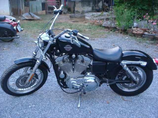 H-D Sposter 883 + สรรพสามิต H-D Sposter 883 + สรรพสามิต