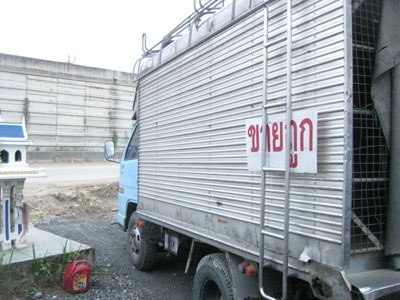 ขายหกล้อหลังคา Isuzu NKR 88 แรง สวยเดิมๆ พร้อมใช้ โทร 088-4501277