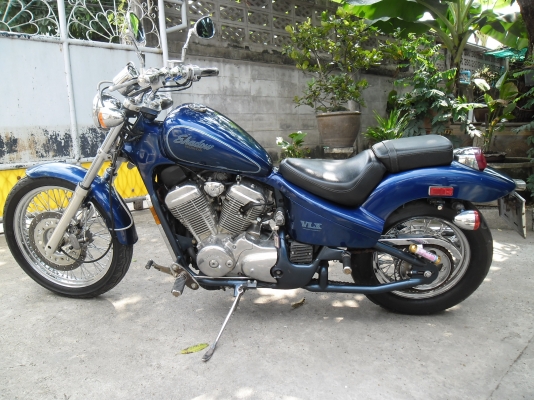 steed 600 Spec America ทะเบียนแท้