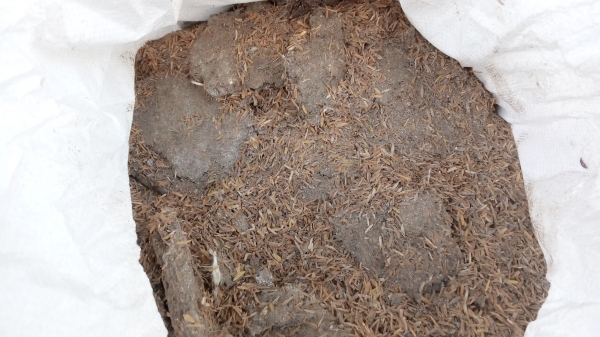 ขายขี้ไก่ปะป่นแกลง สวย( ฟาร์มไก่) พร้อมจัดส่ง ต่างหวัดส่งได้ มีจำนวนมาก  หลาย 1000 สอบ