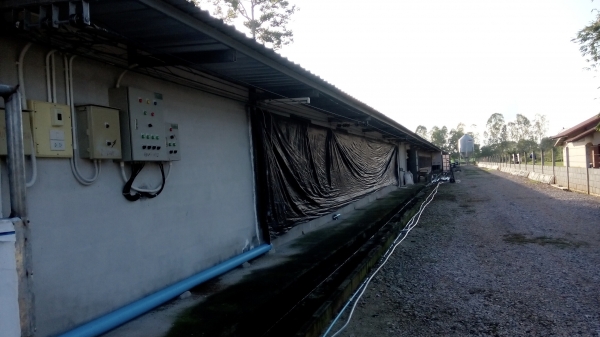 ขายขี้ไก่ปะป่นแกลง สวย( ฟาร์มไก่) พร้อมจัดส่ง ต่างหวัดส่งได้ มีจำนวนมาก  หลาย 1000 สอบ