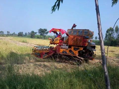 ขายรถเกี่ยวข้าว ศักดิ์พัฒนา ปี 54