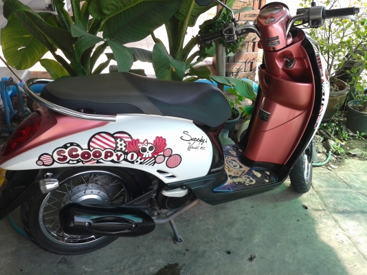 สกู๊ปปี้ เดิมๆสวย