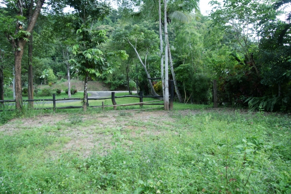 ขายที่ดินพร้อมบ้านเนื้อที่2ไร่ / ราคา2ล้าน