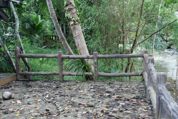 ขายที่ดินพร้อมบ้านเนื้อที่2ไร่ / ราคา2ล้าน