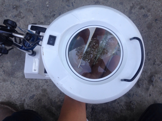 ขายโคมไฟขยาย Seco แบบตั้งโต๊ะ ใช้ไฟ 22W สภาพสวย มีหลายชุด (ไม่มีหลอดให้ครับ)