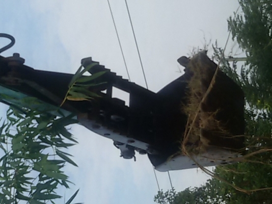 ขายปากคีบ รถแบ็คโฮ