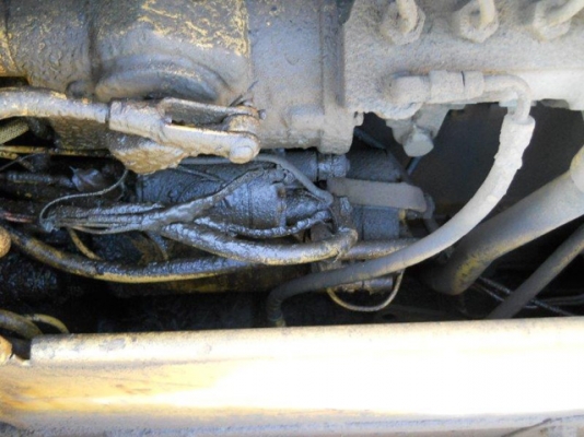 D4E-52X # 1210UP สินค้าอยู่ญี่ปุ่น ต้องสั่งนำเข้า (เพิ่มรูป)