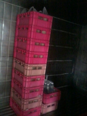 ตู้ห้องเย็น ตั้งพื้น ติดรถ (ต้องการสเปคใหนสั่งได้) ตู้ห้องเย็น ตั้งพื้น ติดรถ (ต้องการสเปคใหนสั่งได้)