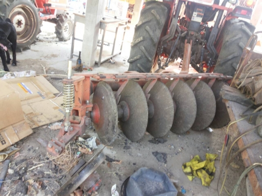 ผานตาช้างDH246