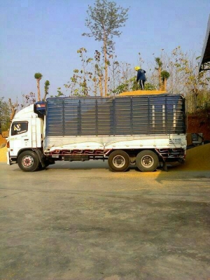 ขายด่วนรถสิบล้อฮีโน่เมก้าFL1jเครื่อง220เเรงรถออกห้างมือเดียวปี48รถสวยเดิม