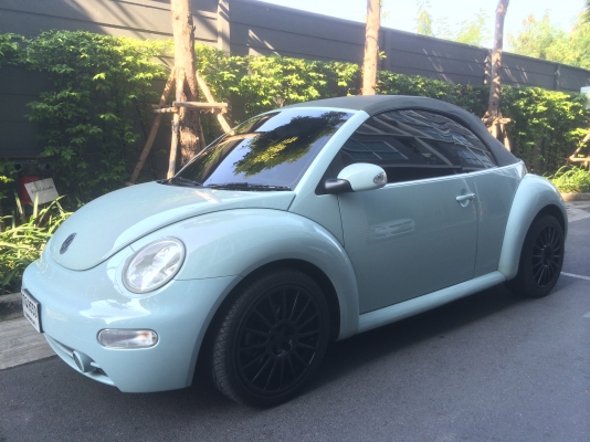 New beetle