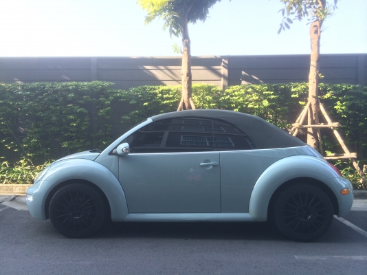 New beetle