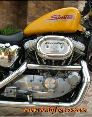 ขาย harley-davidson sportster 883 ปี 01 ราคา 199,000