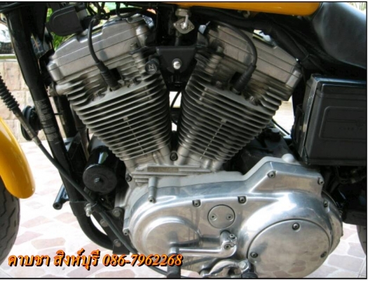 ขาย harley-davidson sportster 883 ปี 01 ราคา 199,000