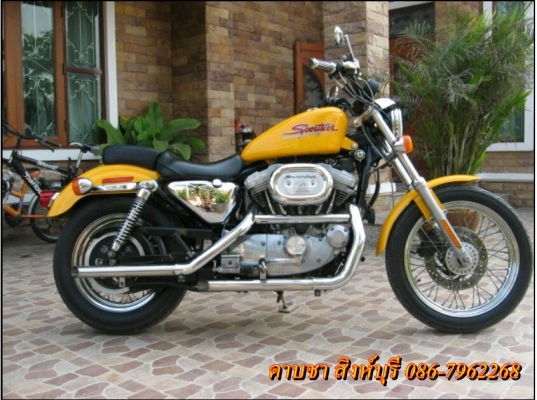 ขาย harley-davidson sportster 883 ปี 01 ราคา 199,000