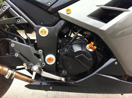 ninja 250 แต่งล้นๆ