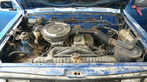 ขายครับ ขายครับ