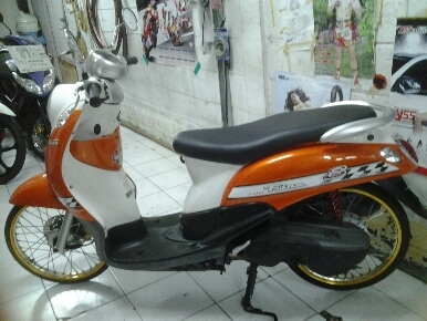 ฟีโน่ปี2551