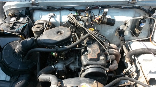 คารีเบียนตู้ปลา ปี90 คารีเบียนตู้ปลา ปี90